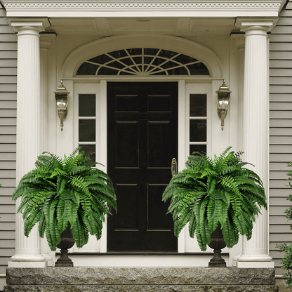 Last Day 50% OFF--UV Resistant Lifelike Artificial Boston Fern