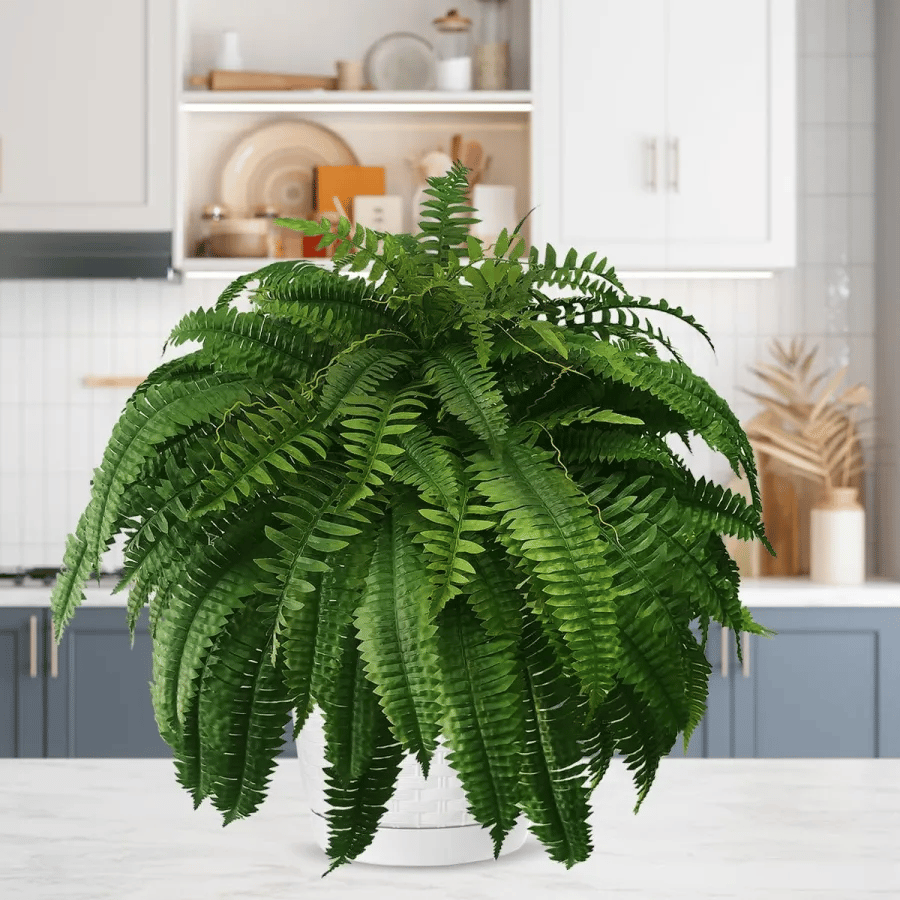 Last Day 50% OFF--UV Resistant Lifelike Artificial Boston Fern