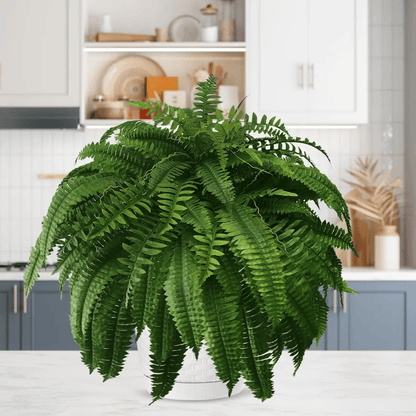 Last Day 50% OFF--UV Resistant Lifelike Artificial Boston Fern