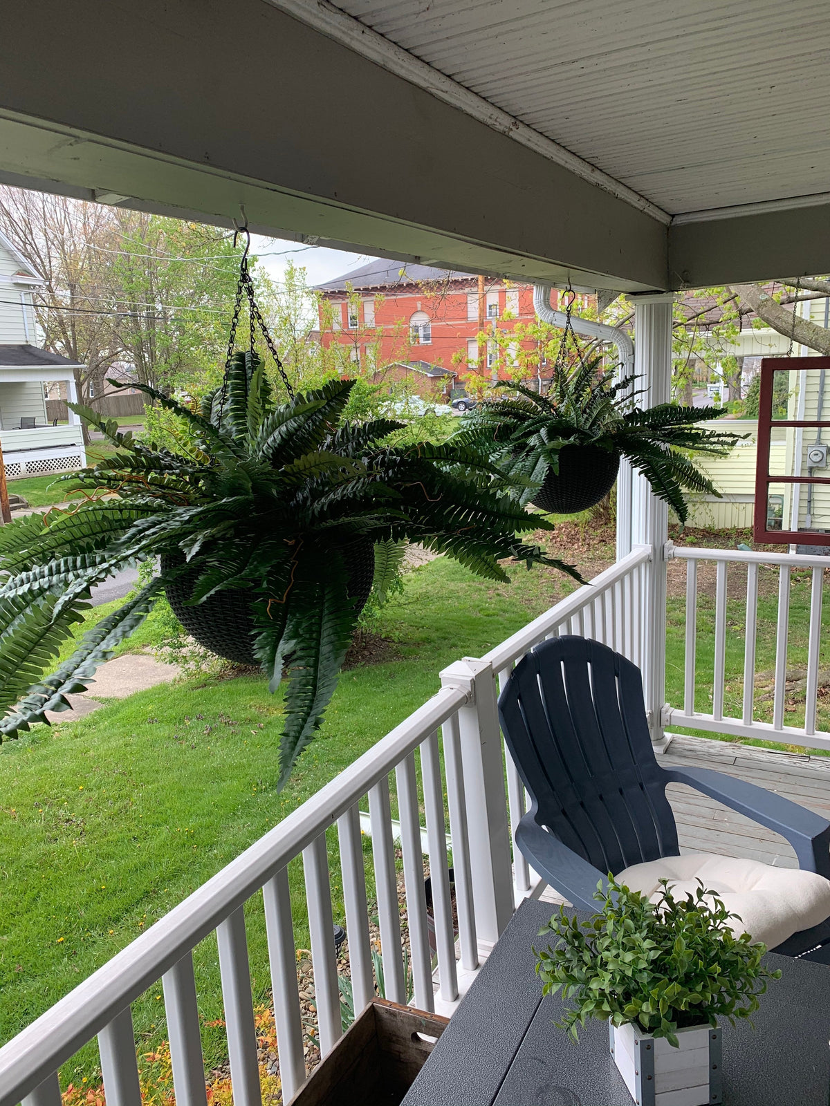 Last Day 50% OFF--UV Resistant Lifelike Artificial Boston Fern