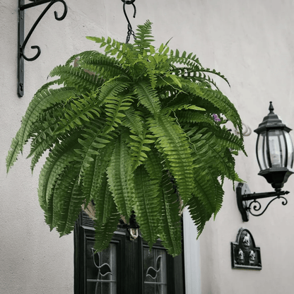 Last Day 50% OFF--UV Resistant Lifelike Artificial Boston Fern