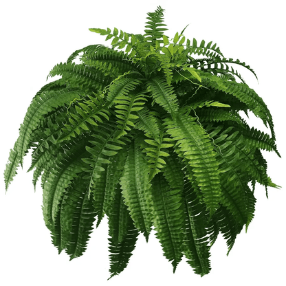 Last Day 50% OFF--UV Resistant Lifelike Artificial Boston Fern